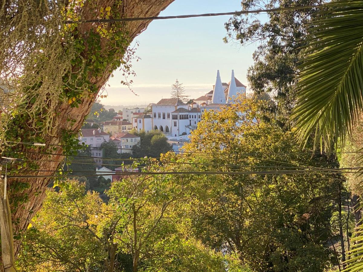Luxurious Royal Estate In Historic Sintra Paradise ภายนอก รูปภาพ